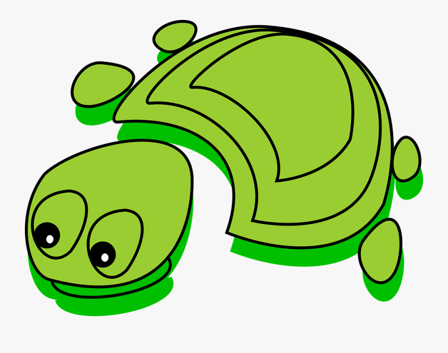 Turtle, Green, Funny, Carapace, Tortoise, Cute - Tortoise Cartoon, Transparent Clipart