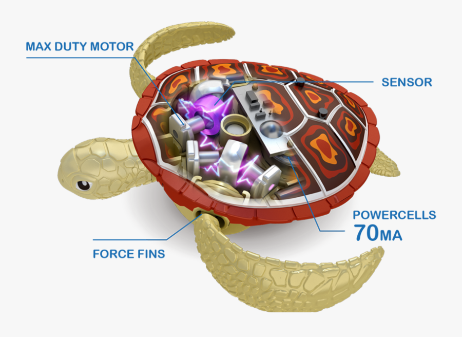 Turtle Clipart Png - Robo Turtle Zuru, Transparent Clipart