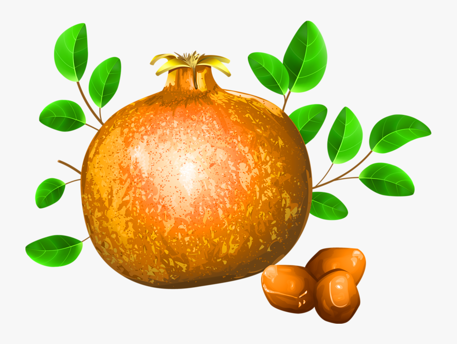 Apple And Orange Seeds Clipart - Pomegranate, Transparent Clipart
