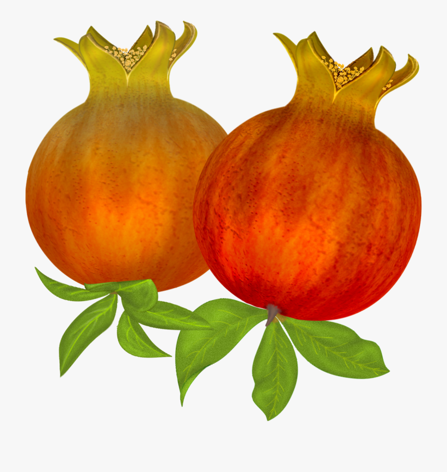 Image Stock Free Pomegranates Png Graphics Pinterest, Transparent Clipart