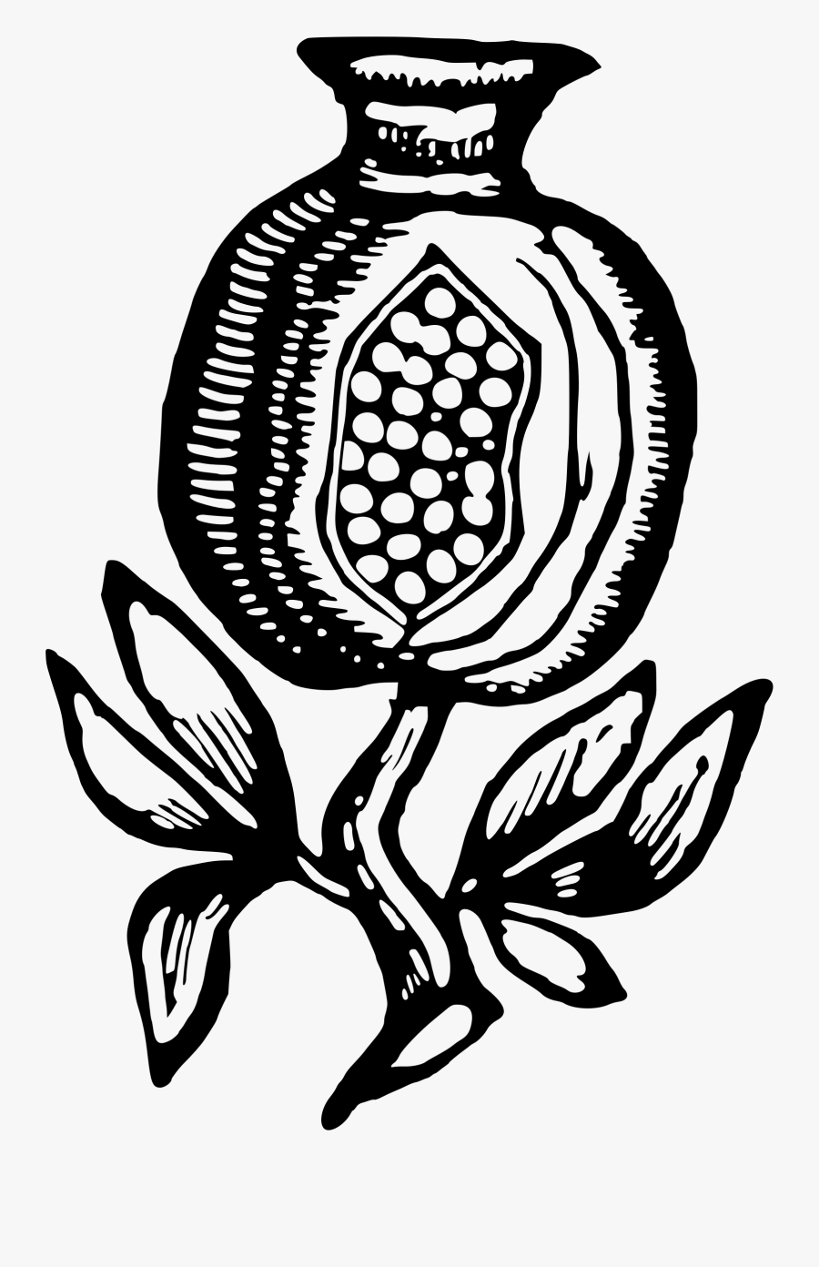 Visual Arts,plant,flower - Todo, Transparent Clipart