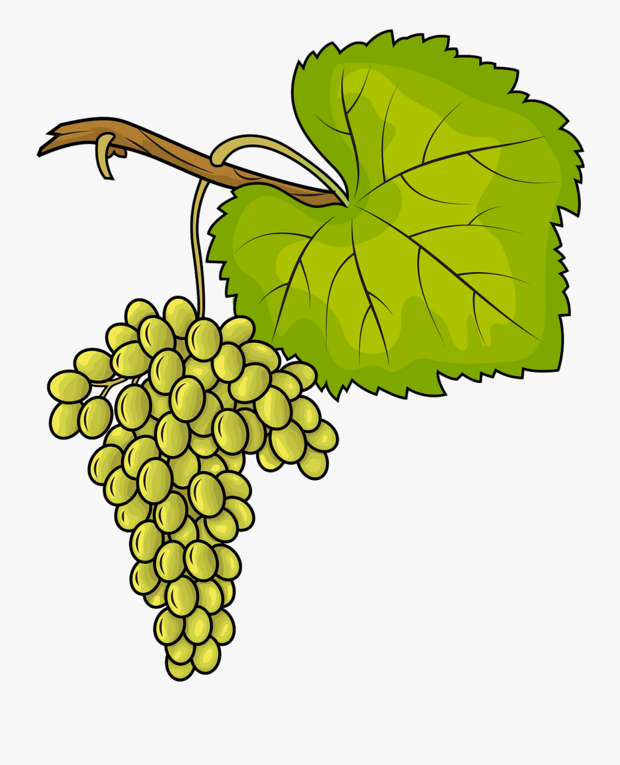 Sultana, Transparent Clipart