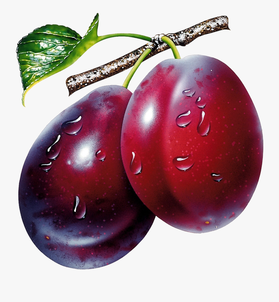 Plum Png, Transparent Clipart