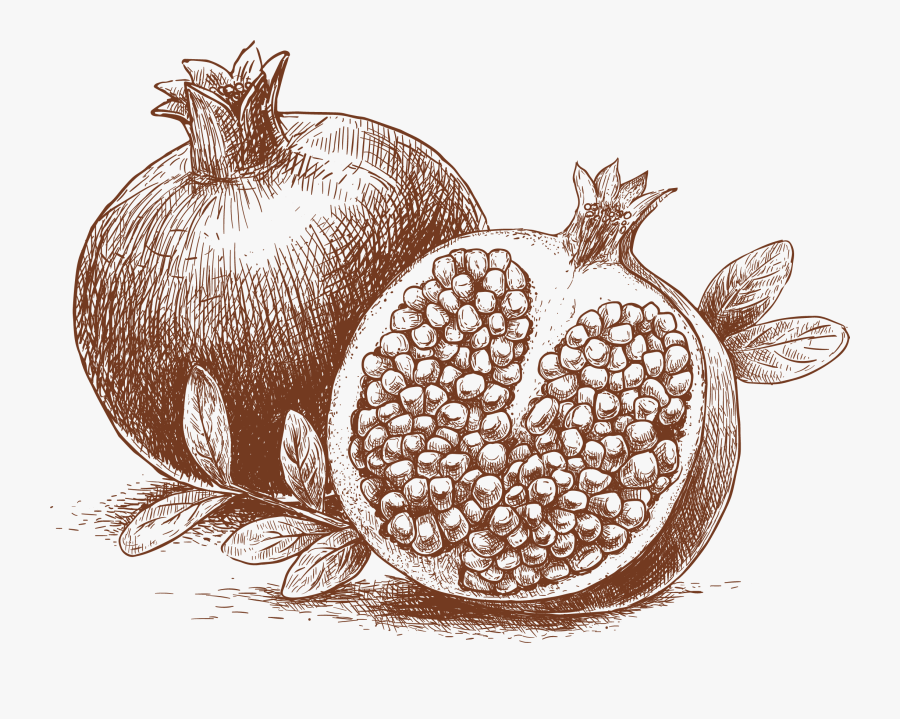 Graphic Freeuse Pomegranate Vector Cartoon, Transparent Clipart