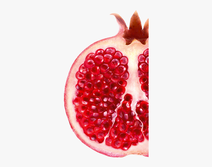 Couleur Grenade, Transparent Clipart