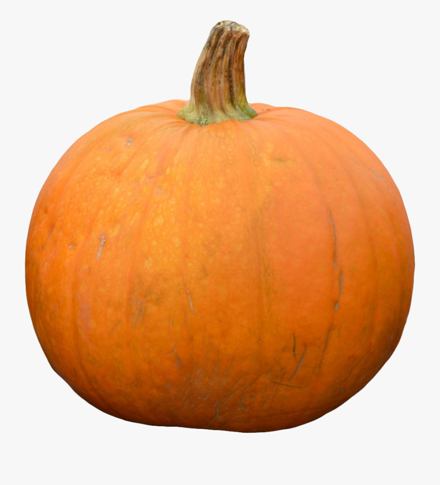 Pumpkin Png Transparent, Transparent Clipart