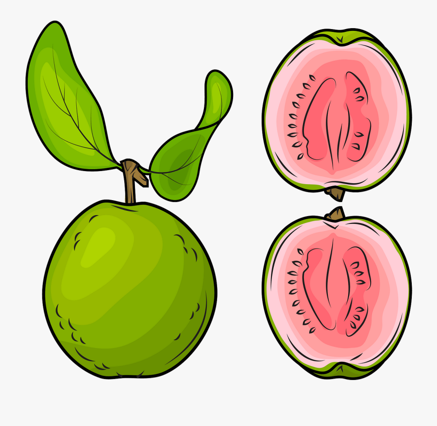 Guava Clipart, Transparent Clipart