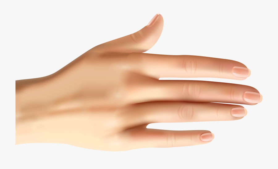 Manicure Clipart Nail File - Manicure, Transparent Clipart