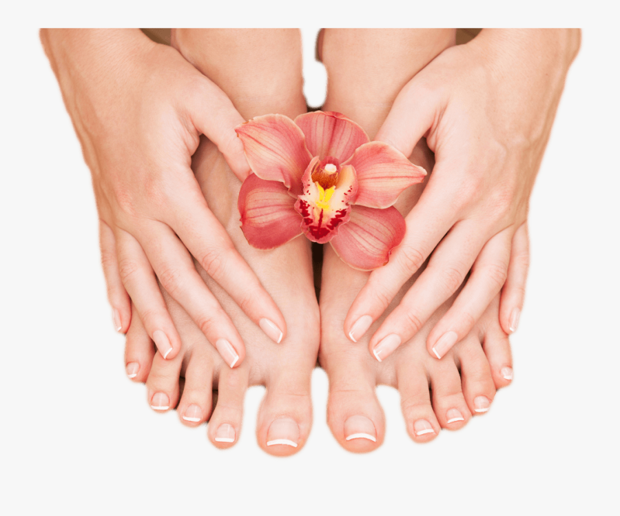 Nail , Transparent Cartoons - Nail, Transparent Clipart