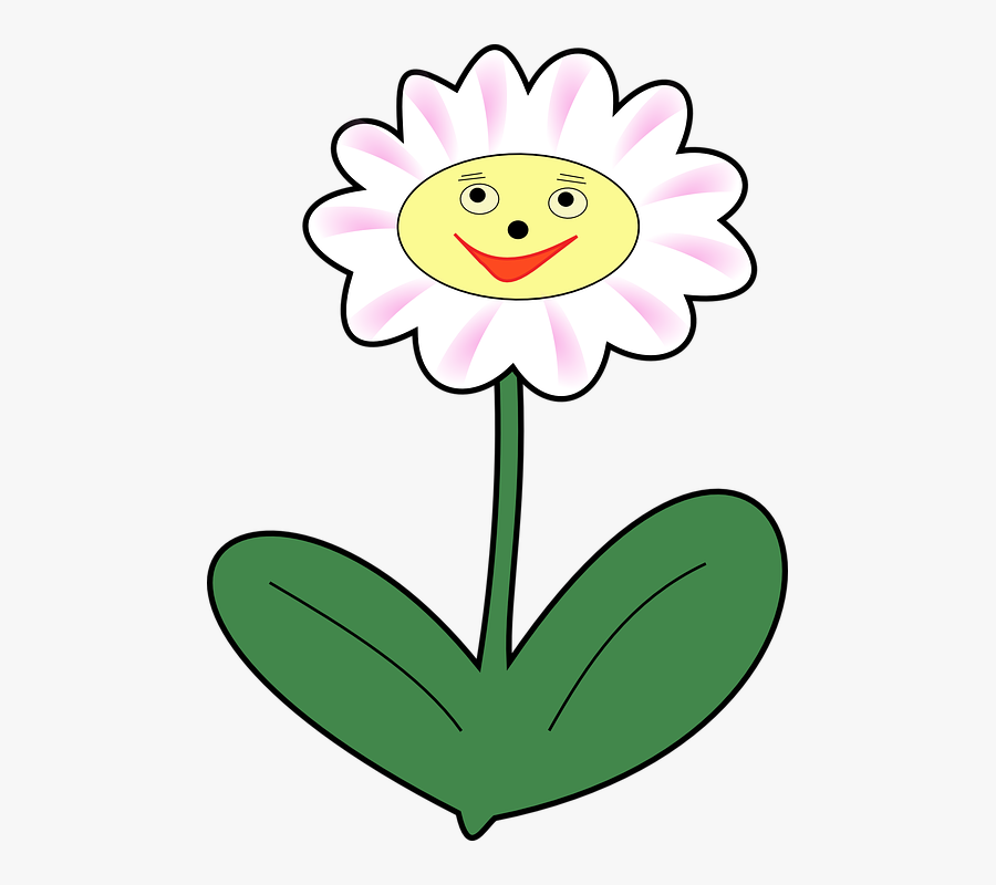 Daisy, Flower, Plant, Face, Happy, Spring - Animated Flowers With Faces, Transparent Clipart