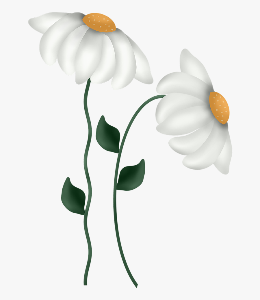 Religious Text, Transparent Clipart