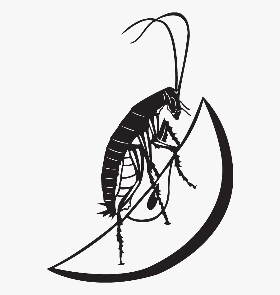 Transparent Free Cockroach Clipart - Illustration, Transparent Clipart
