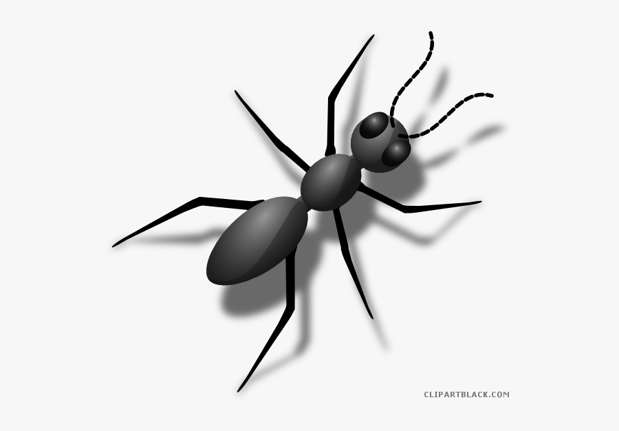 Transparent Fire Clipart Black And White - Cuerpo De Una Hormiga, Transparent Clipart