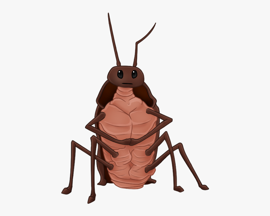 Rat Gregor The Overlander - Gregor The Overlander Cockroaches, Transparent Clipart
