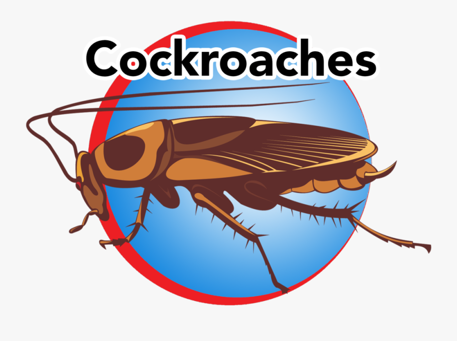 Cockroaches Blue Button - Cockroach, Transparent Clipart