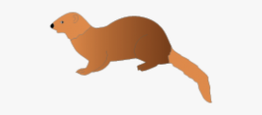 Mongoose Clipart Clip Art - Mongoose Clipart, Transparent Clipart