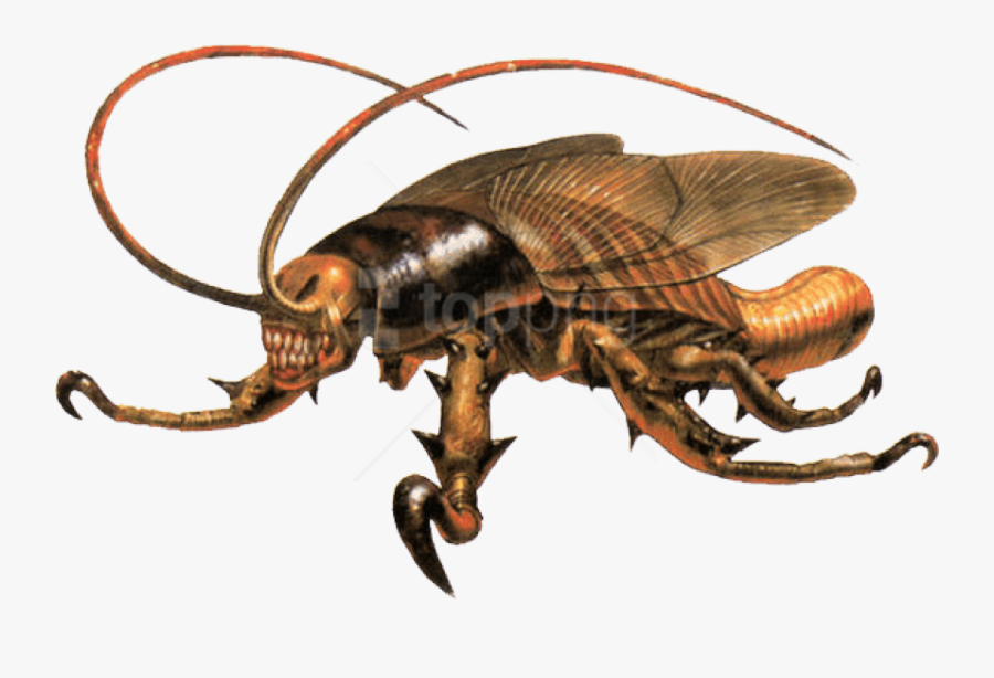 Download Cockroach Eve Png - Parasite Eve Cockroach, Transparent Clipart
