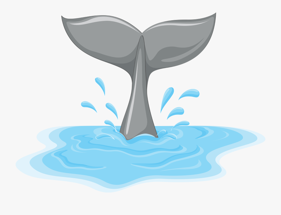 Water Night A W - Cola De Ballena Dibujo, Transparent Clipart
