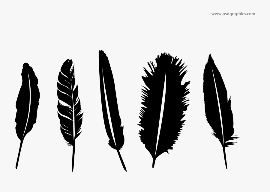 Feather Silhouette Vector At Getdrawings - Transparent Background Feather Vector Png, Transparent Clipart