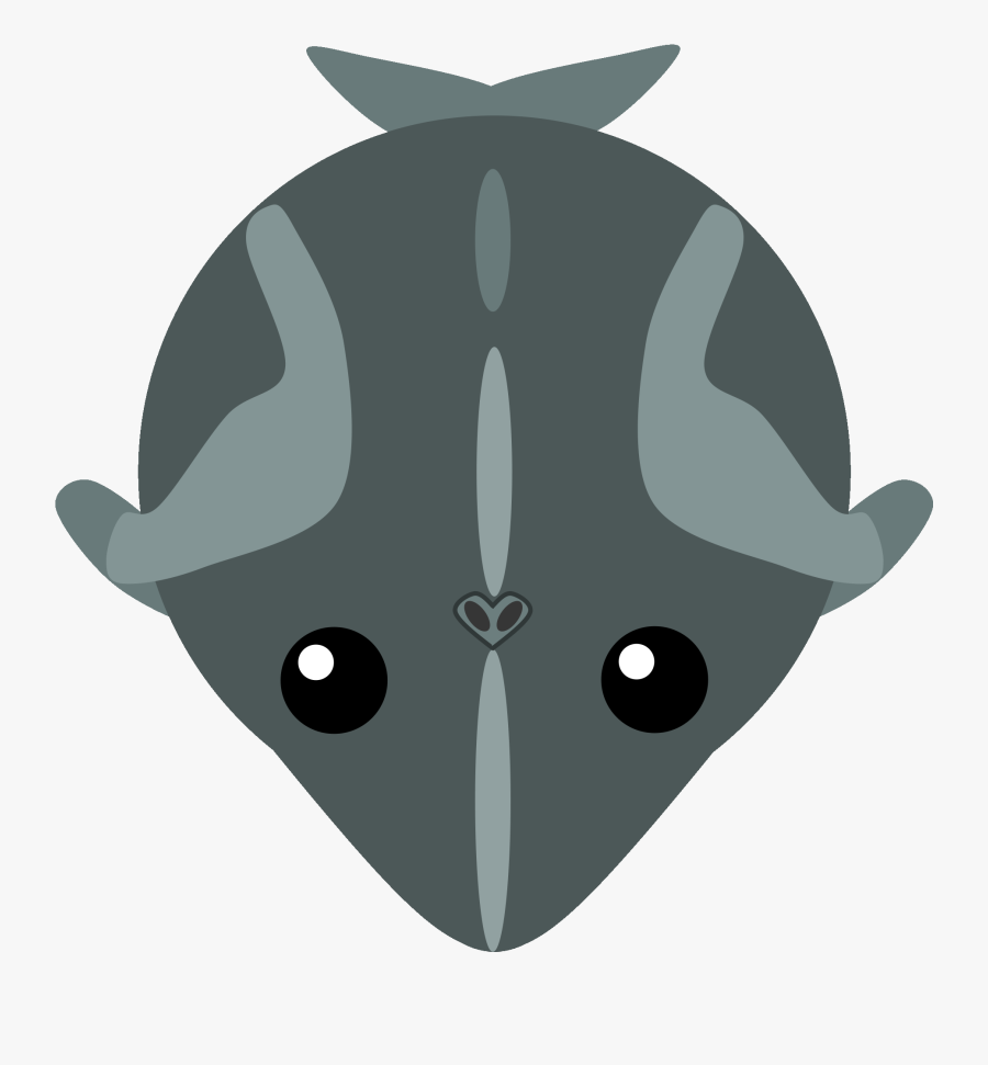 Transparent Gray Whale Clipart - Cat, Transparent Clipart