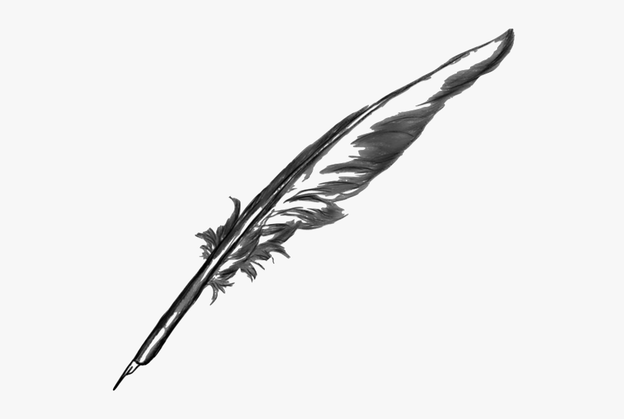 Feather Quill Pen Transparent Background, Transparent Clipart