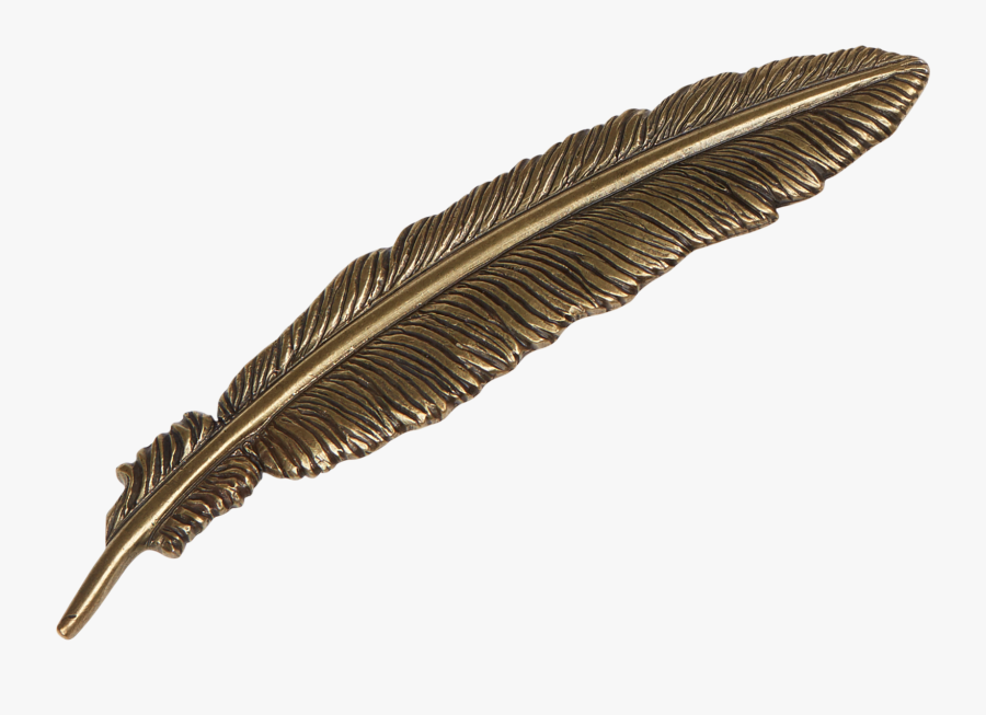 Clip Art Feather Macro - Feather For Hat, Transparent Clipart