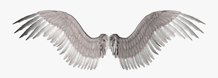 Wings Clipart Png Format - Ivangorod Fortress, Transparent Clipart