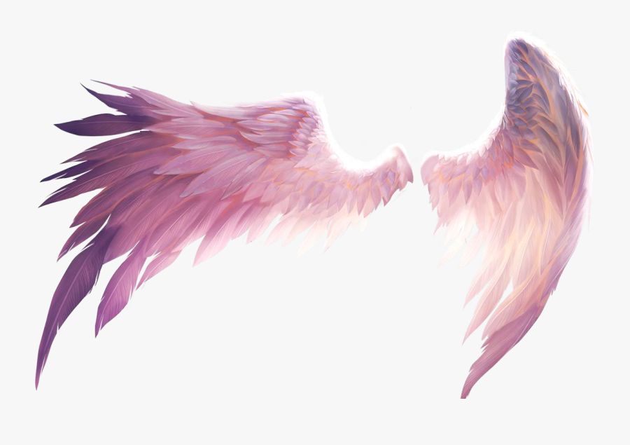 Transparent Angel Wings Png - Transparent Pink Angel Wings, Transparent Clipart