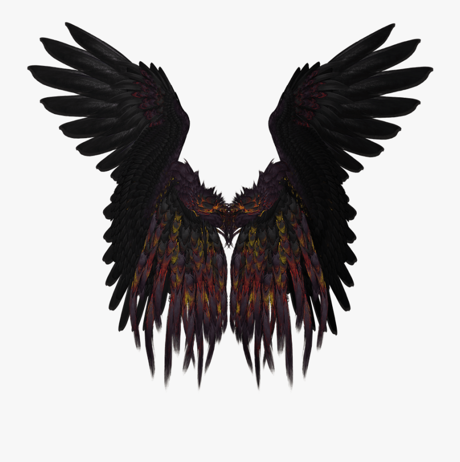 Short Black And Purple Wings - Black Angel Wings Png, Transparent Clipart