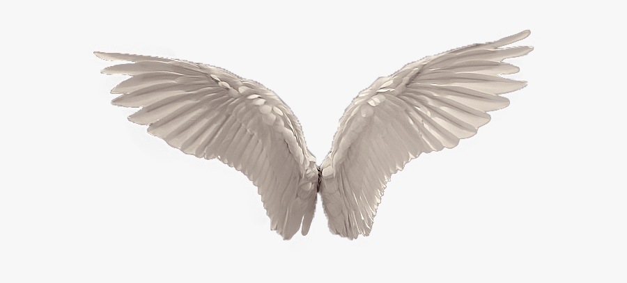 Angel Wings Png - Angel Wings Transparent Png, Transparent Clipart