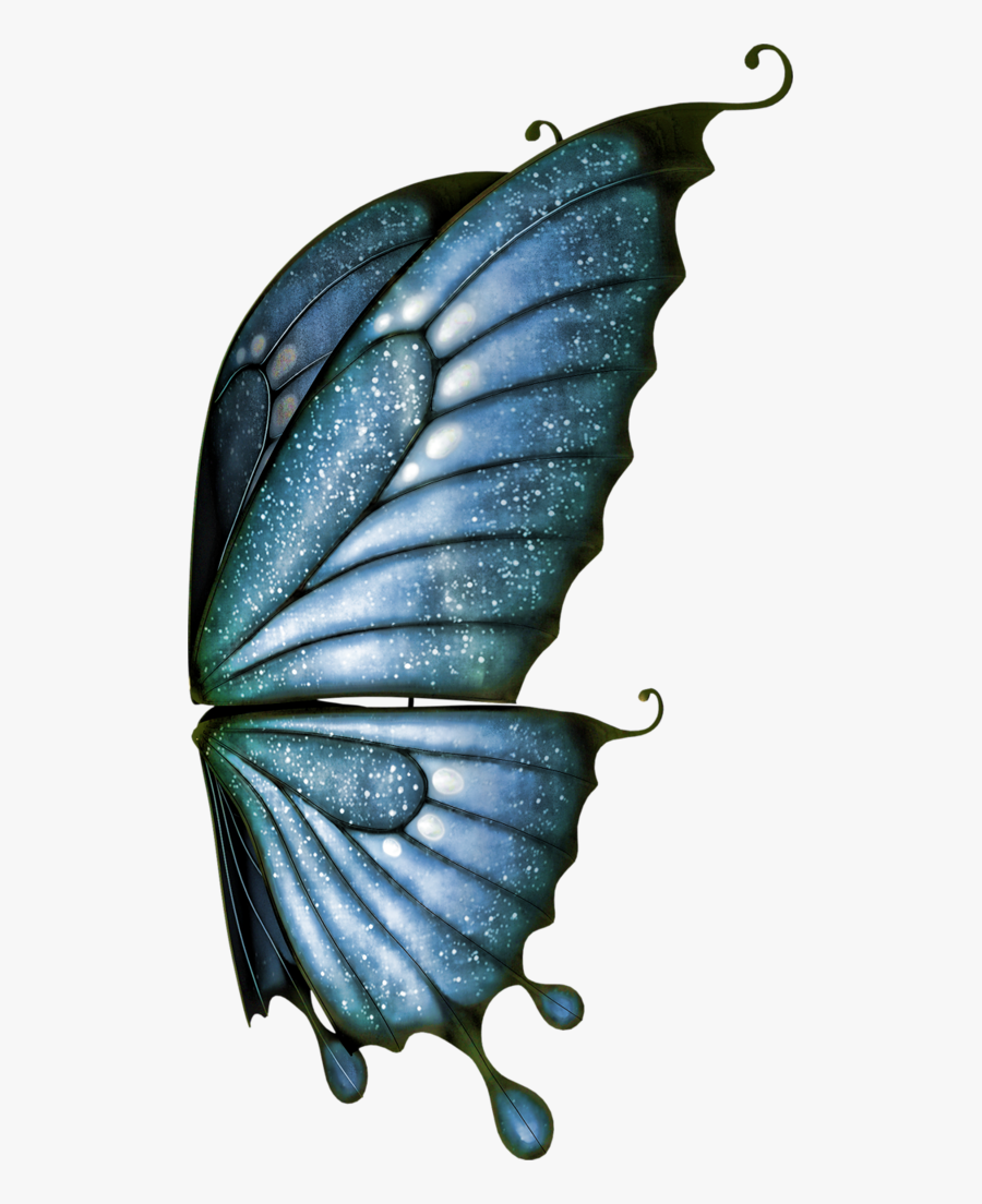 Transparent Fairy Wings Png, Transparent Clipart