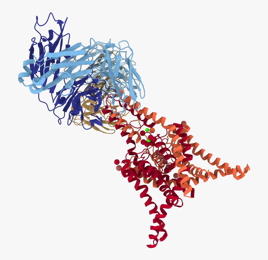 Chains Colored In Rainbow - Illustration, Transparent Clipart