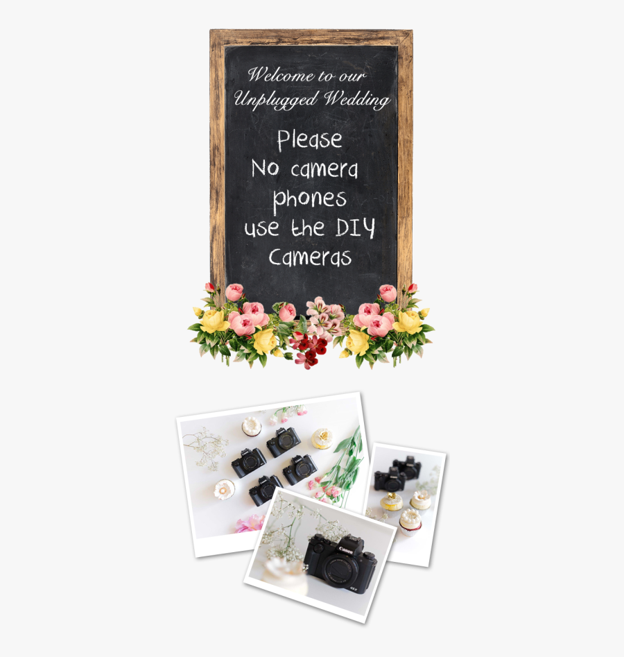 No Camera At Wedding, Transparent Clipart