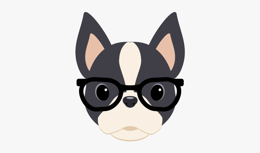 Boston Terrier Illustration, Transparent Clipart