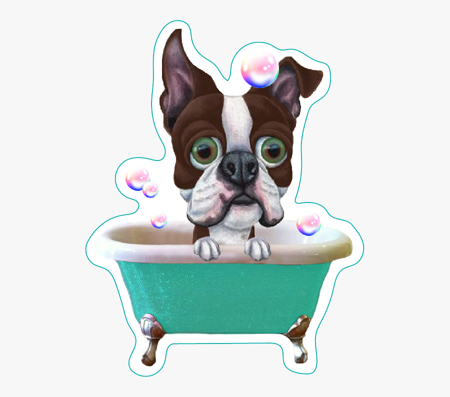 Scrappy"s Pet Salon - Caricature Boston Terrier, Transparent Clipart