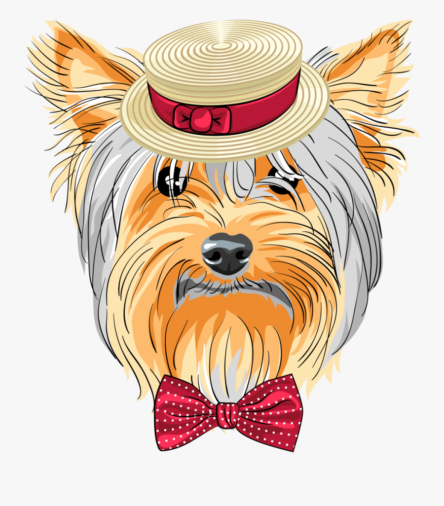 Roseville Yorkie Dog, Yorkshire Terrier Yorkshire Terrier - Yorkshire Animado, Transparent Clipart