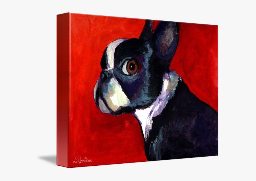 Colorful Boston Terrier Painting By Svetlana Novikova - Boston Terrier, Transparent Clipart