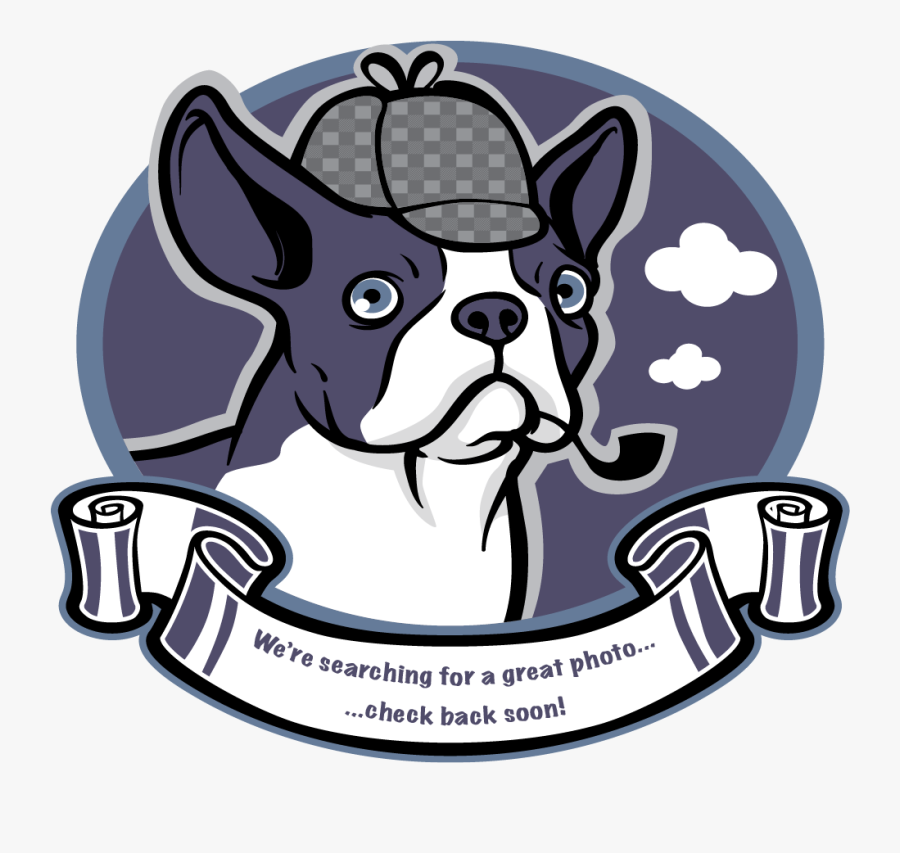 Boston Terrier, Transparent Clipart