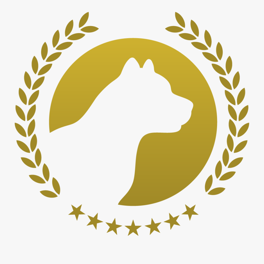 Leonard Holding Co, Transparent Clipart