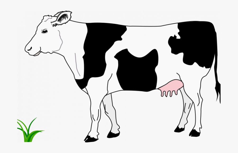 Cow Black And White Png, Transparent Clipart