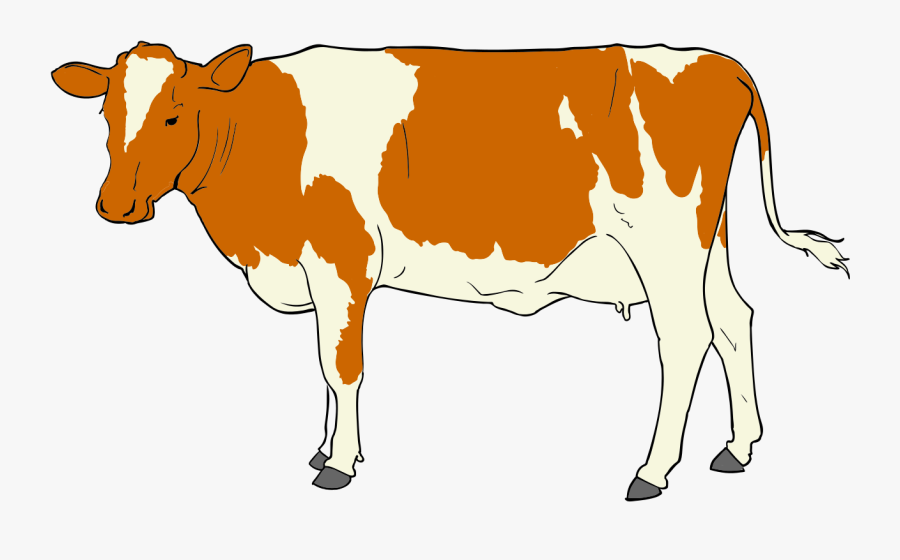 Transparent Cow Head Clipart - Difficulties In Barter System, Transparent Clipart