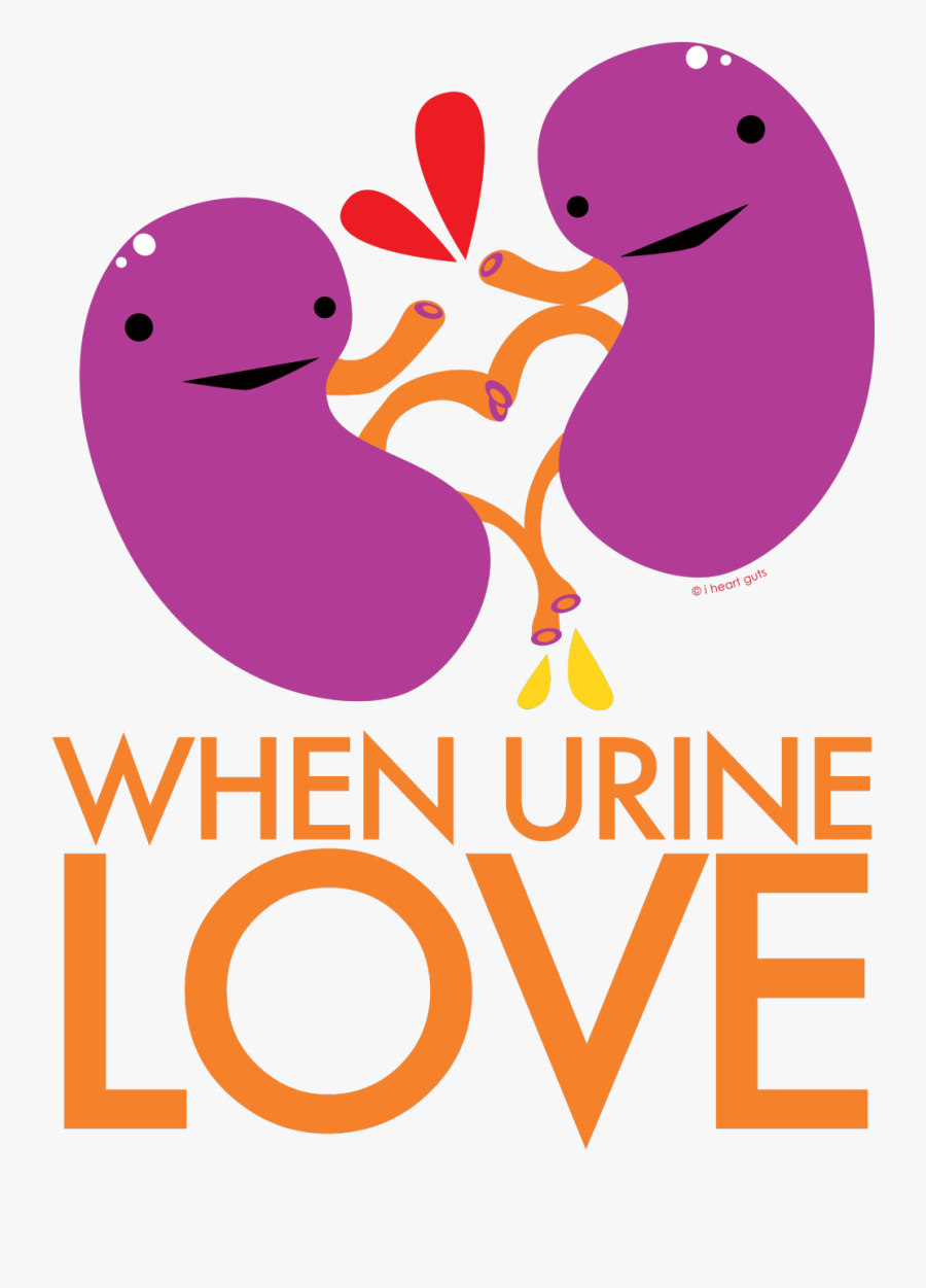 And Heart Cartoon Modern - Kidney I Heart Guts, Transparent Clipart