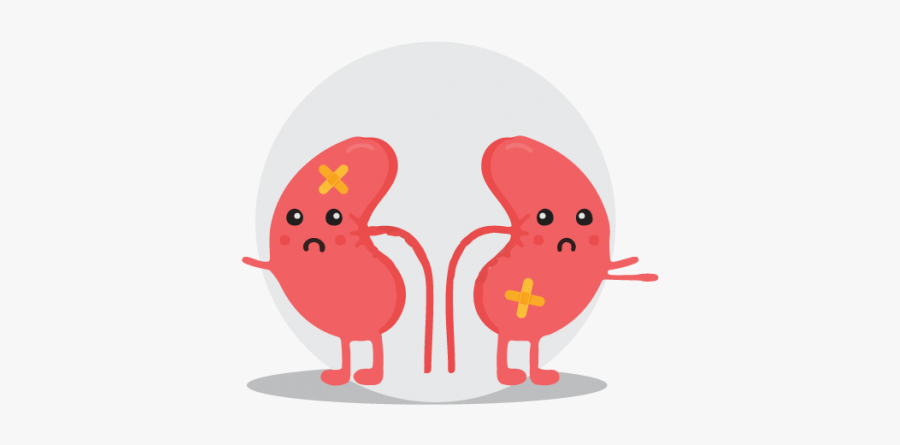 Kidney Stones Cartoon Transparent , Free Transparent Clipart - ClipartKey