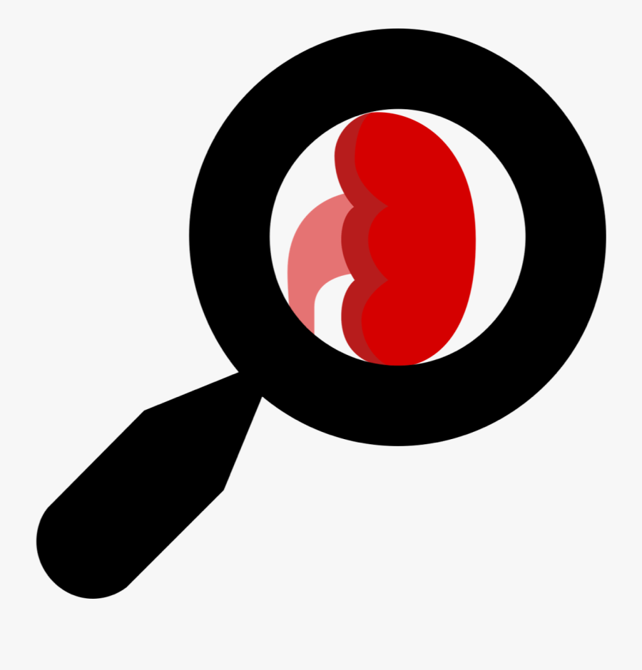 Circle, Transparent Clipart