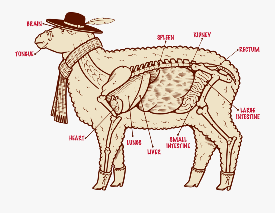 Cartoon, Transparent Clipart