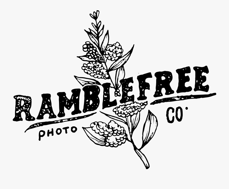 New England Wedding Photographer - Illustration, Transparent Clipart