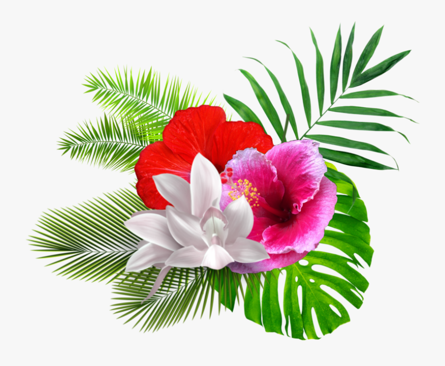 #tropical #flower #palmleaf #freetoedit - Orchid, Transparent Clipart