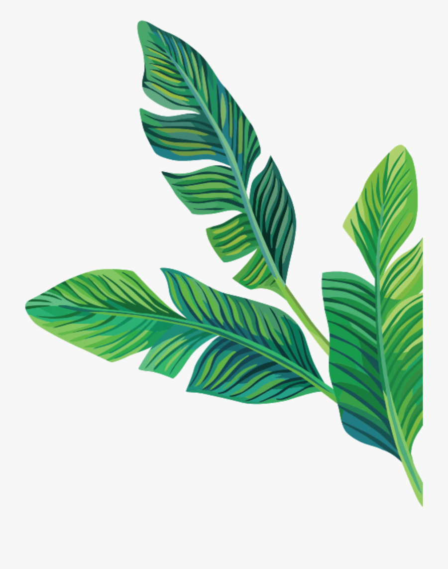 Stickers Cute Filter Flo - Leaves Picsart, Transparent Clipart