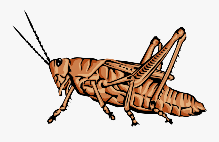 Grasshopper Jumping Clip Art - Jointed Leg Animals, Transparent Clipart