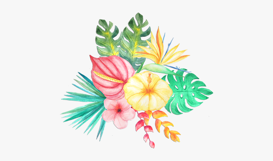 Cartoon Tropical Floral Arrangement, Transparent Clipart